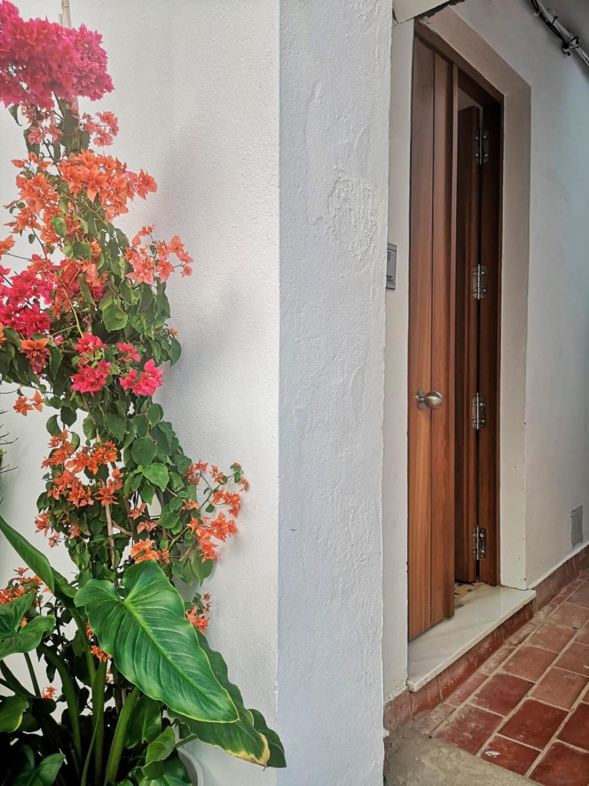 Apartamento Erizo 3 loft diafáno en el Centro Histórico Tarifa Exterior foto